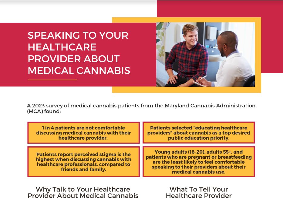 What is Fitbit Labs visual data 2